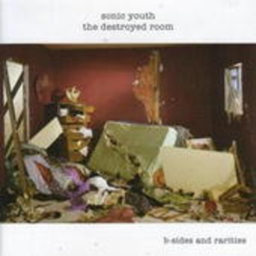 Sonic Youth – The Destroyed Room - B-Sides & Rarities