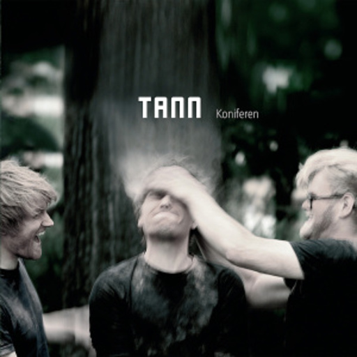 Tann – Koniferen