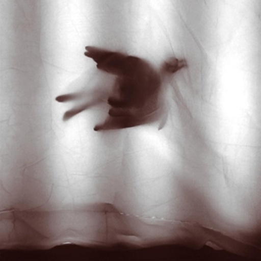 Marc Ostermeier – Tiny Birds