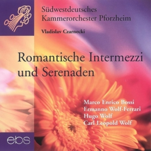 Südwestdeutsches Kammerorchester Pforzheim – Romantische Intermezzi und Serenaden