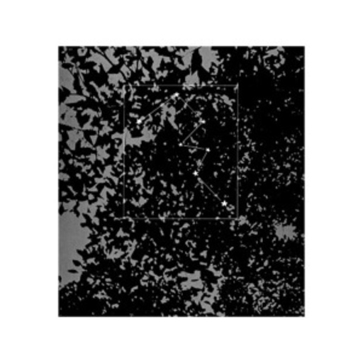 Masato Minami – The Tropics