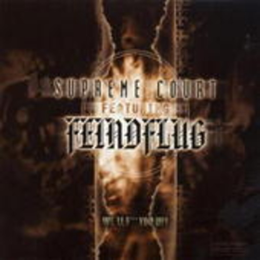 Supreme Court feat. Feindflug – We'll F*** You Up!