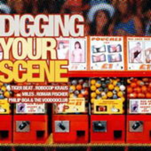 Diverse – Digging Your Scene