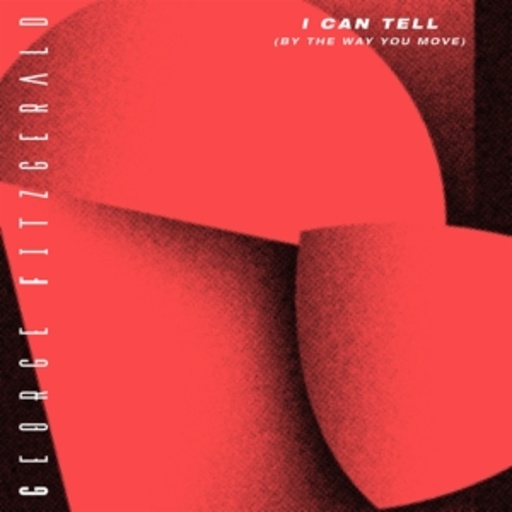 George Fitzgerald – I Can Tell (By The Way You Move)