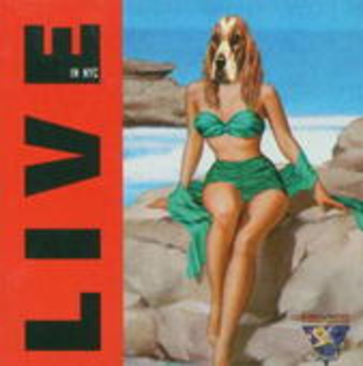 Iggy Pop – Live In NYC