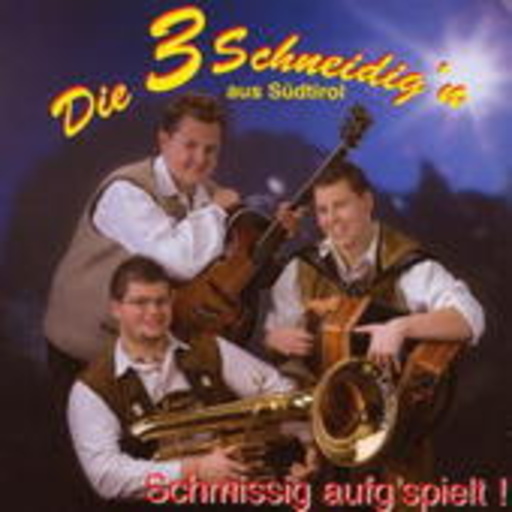 Die 3 Schneidig'n – Schmissig aufg'spielt