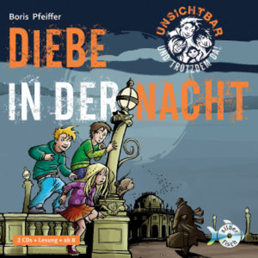 Stefan Kaminski – Unsichtbar und trotzdem da - Diebe in der Nacht (1)