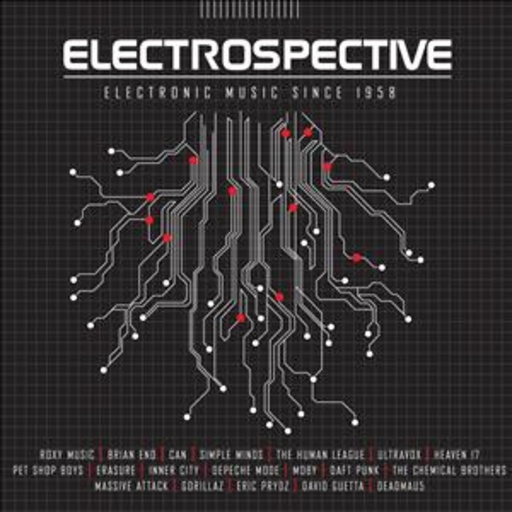 Diverse – Electrospective