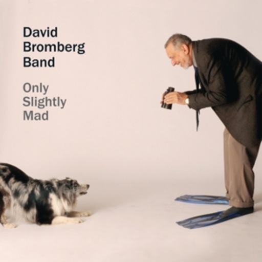 David Bromberg Band – Only Slightly Mad