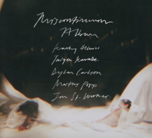Jan St. Werner – Miscontinuum
