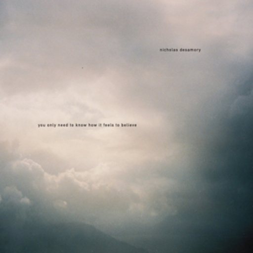 Nicholas Desamory – You Only Need To Know How It Feels To Believe