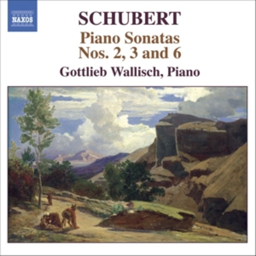 Piano Sonatas Nos. 2,3 And 6