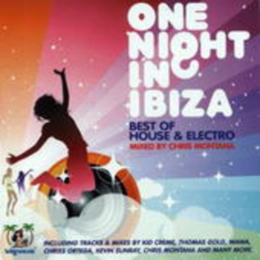 Diverse – One Night In Ibiza - Best Of House & Electro
