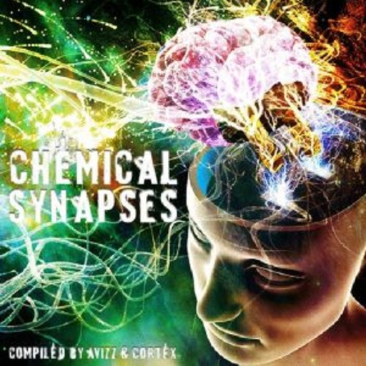 Diverse – Chemical Synapses