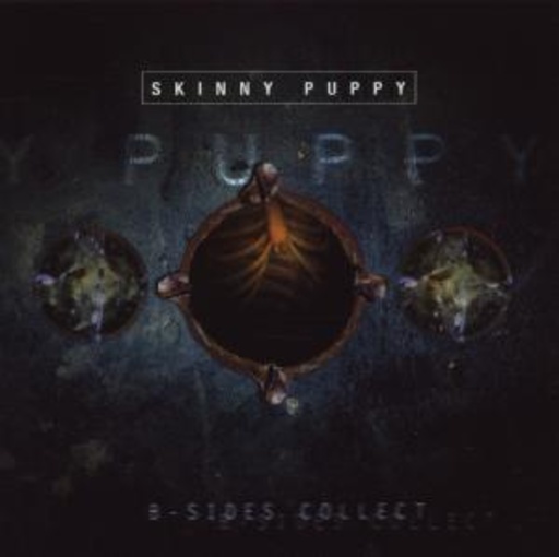 Skinny Puppy – B-Sides Collect
