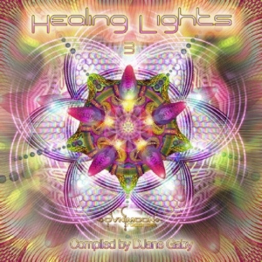 Diverse – Healing Lights 3