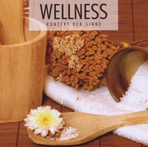 Diverse – Wellness - Konzert der Sinne
