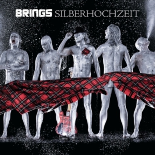 Brings – Silberhochzeit - Best Of