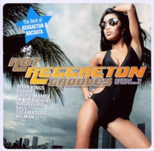 Diverse – Hot Reggaeton Grooves Vol. 1
