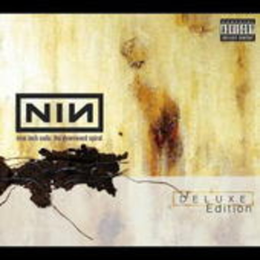 Nine Inch Nails – The Downward Spiral
