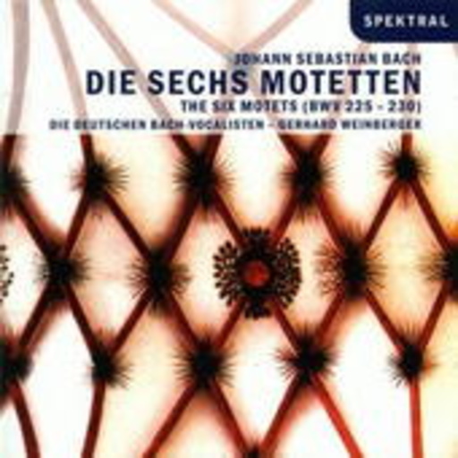 Die Deutschen Bach Vokalisten/Weinberge – Die Sechs Motetten