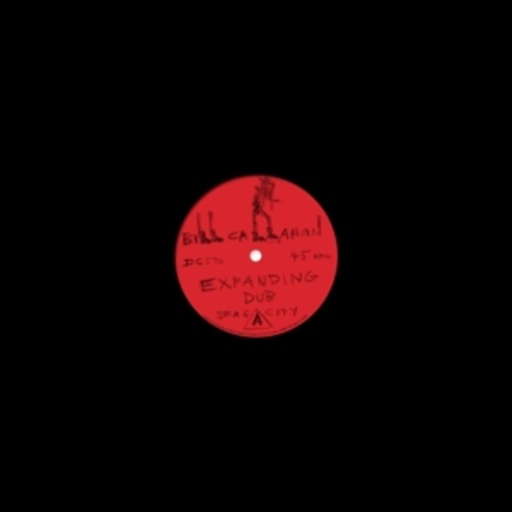 Bill Callahan – Expanding Dub
