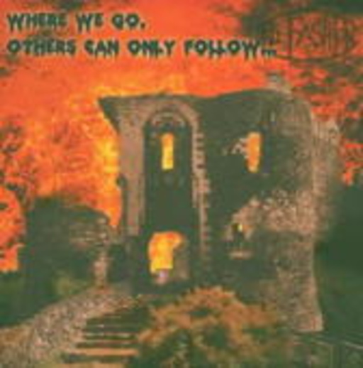 Diverse – Where We Go, Others Can Only Follow