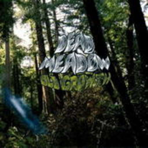Dead Meadow – Old Growth