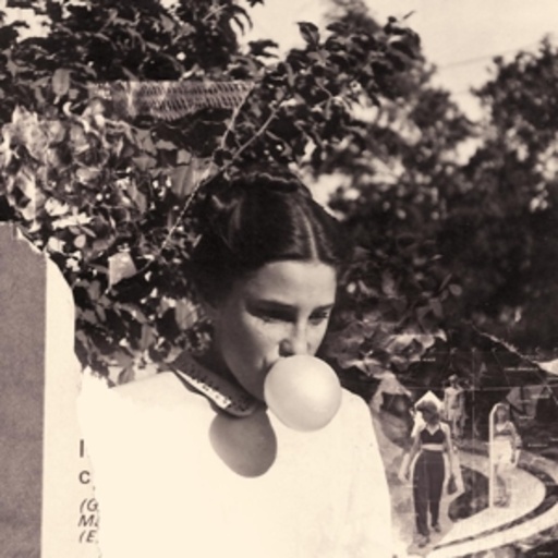 She Keeps Bees – Eight Houses