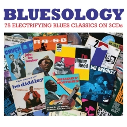 Diverse – Bluesology