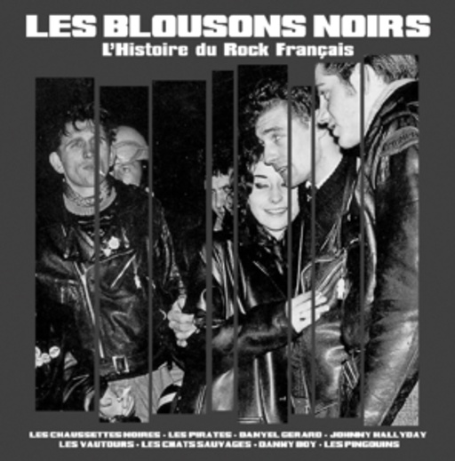 Les Blousons Noirs