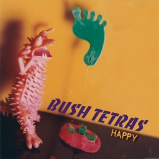 Bush Tetras – Happy