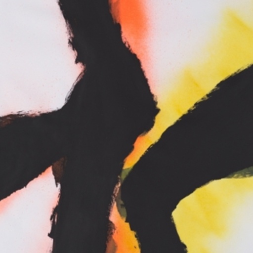 Rob Mazurek & Emmett Kelly – Alien Flower Sutra