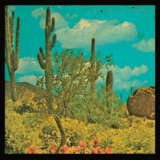 It’s A Long Way To Meximotown