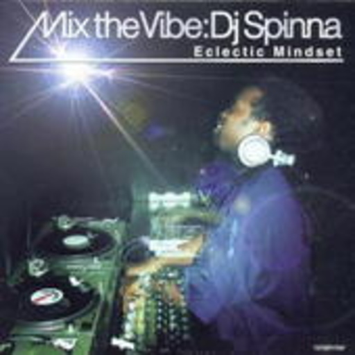 Mix The Vibe – DJ Spinna