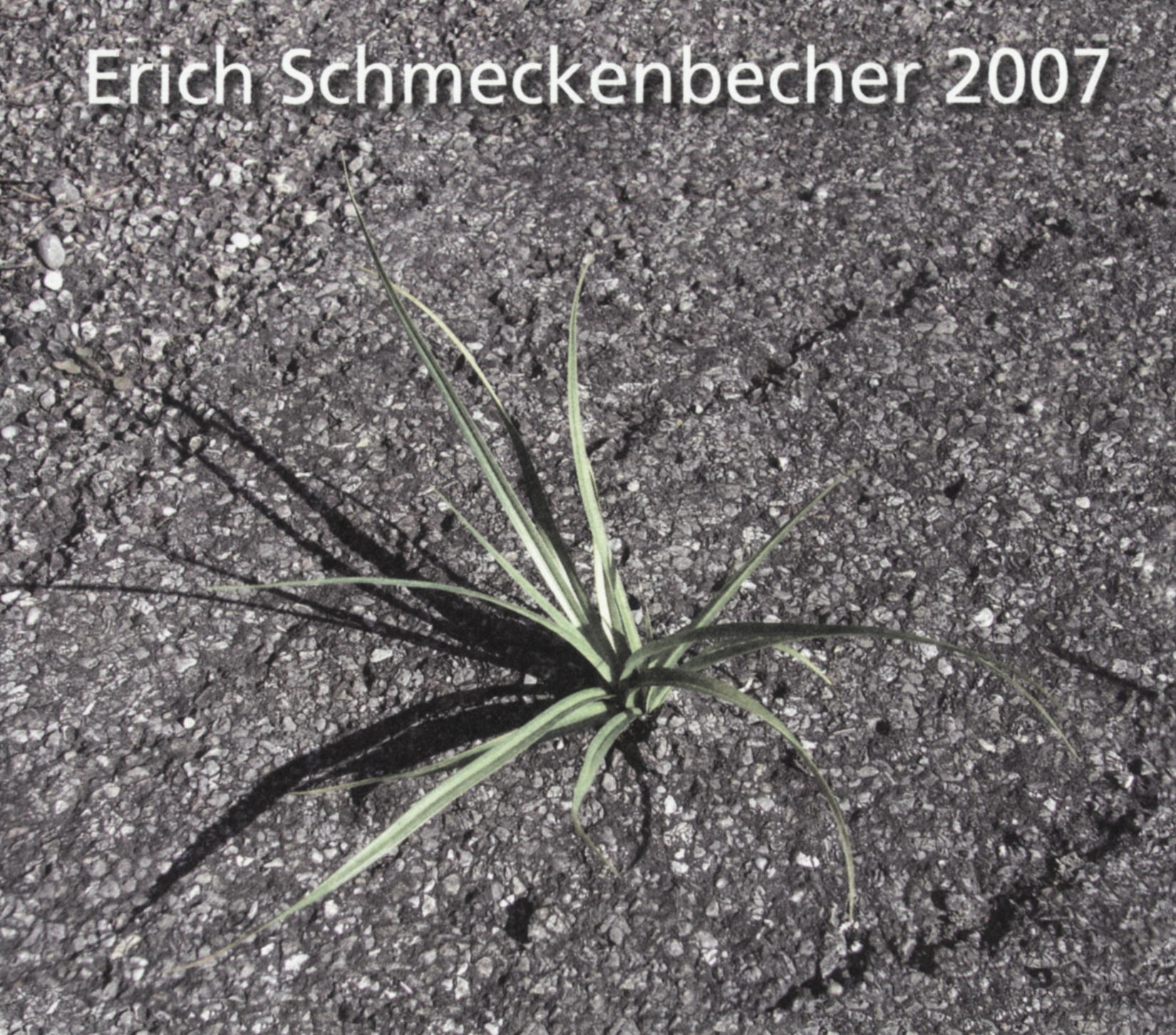 Erich Schmeckenbecher – 2007