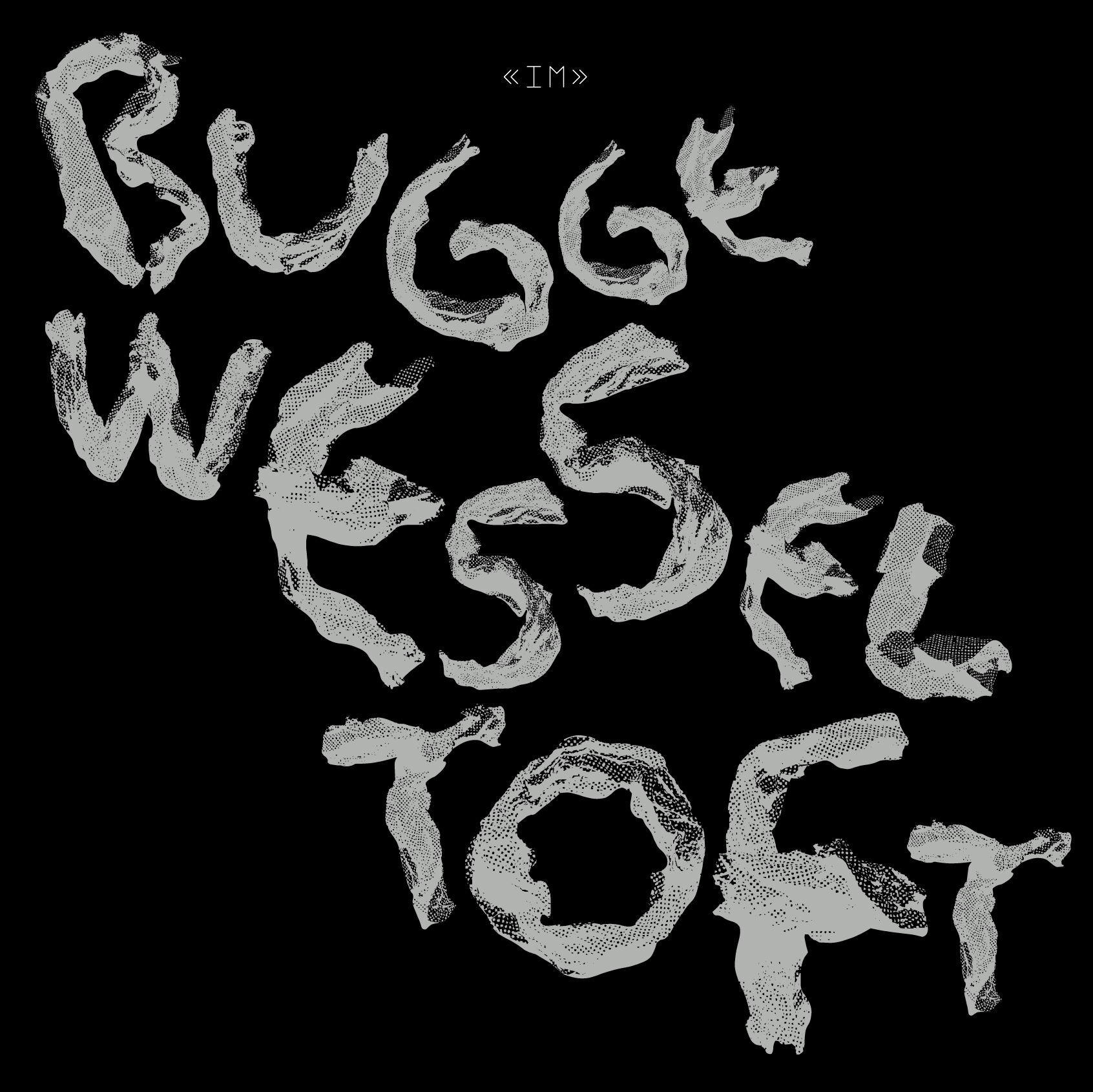 Bugge Wesseltoft – Im