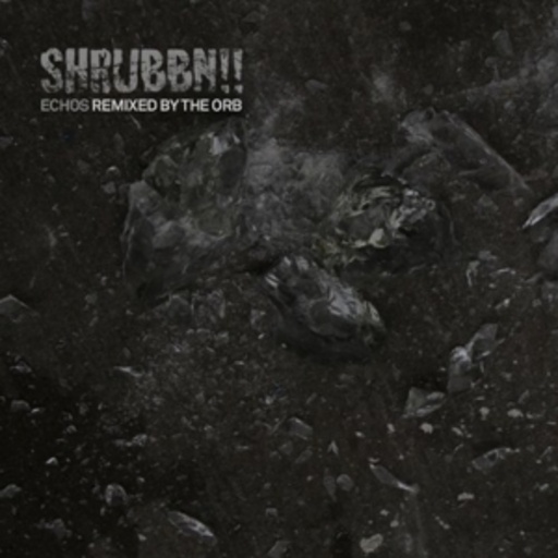 Shrubbn!! – Echos (Remixed by The Orb)