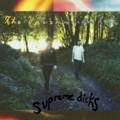 Supreme Dicks – The Unexamined Life