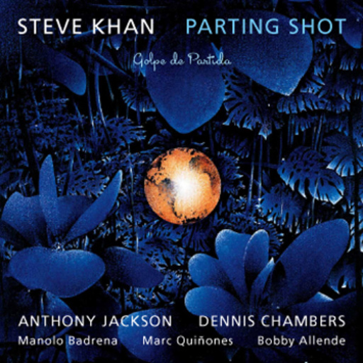 Steve Kahn – Parting Shot