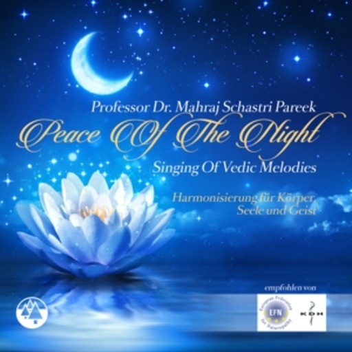 Diverse – Peace Of The Night