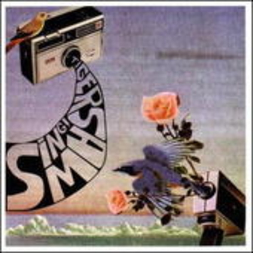 Tigersaw – Sing