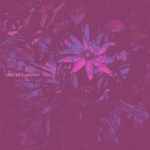 Constants – Pasiflora