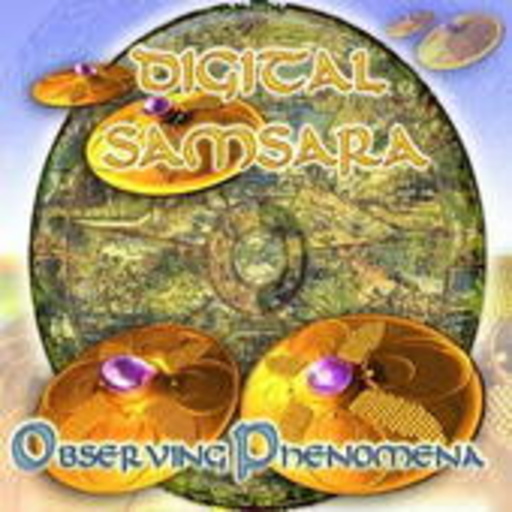 Digital Samsra – Observing Phenomena