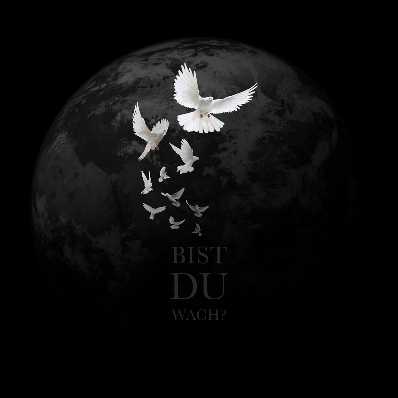 Gehen als Spenden an die Amadeu Antonio Stiftung: die Einnahmen des Benefiz-Songs "Bist du wach"