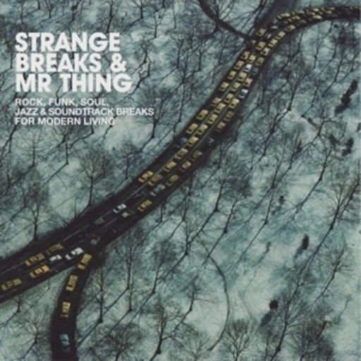 Diverse – Strange Breaks & Mr Thing