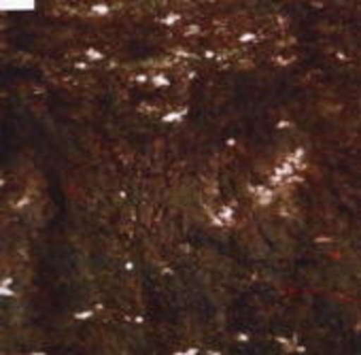 The Camatta – Aula