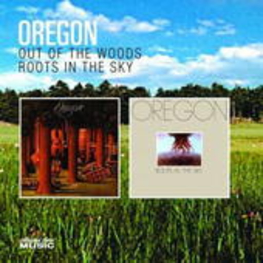 Out Of The Woods/Roots In The Sky