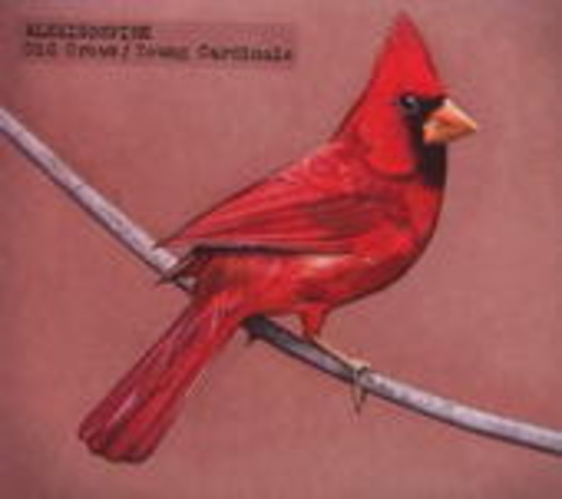 Alexisonfire – Old Crows Young Cardinals