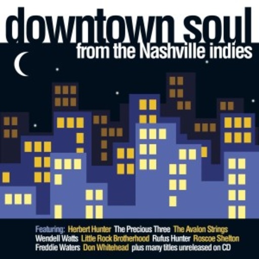 Diverse – Downtown Soul From The Nashville Indies